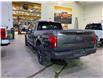 2019 Ford F-150 Lariat (Stk: P25001A) in Melfort - Image 6 of 6