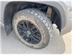 2024 Toyota Tundra Limited (Stk: X023310M) in Cranbrook - Image 21 of 21