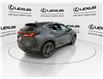 2024 Lexus NX 350h Base (Stk: 14109511A) in Markham - Image 9 of 31