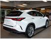 2025 Lexus NX 350 Base (Stk: 6789) in Kingston - Image 7 of 17