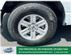 2023 Ford F-150  (Stk: TL68101) in Windsor - Image 2 of 28