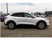 2021 Ford Escape SE (Stk: 5P319) in Kamloops - Image 10 of 18