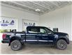 2025 Ford F-150 Tremor (Stk: 25197) in Port Alberni - Image 3 of 28