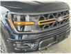 2025 Ford F-150 Tremor (Stk: 25197) in Port Alberni - Image 9 of 28