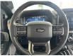 2025 Ford F-150 Tremor (Stk: 25197) in Port Alberni - Image 16 of 28