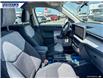 2025 Ford Maverick XLT (Stk: 27339) in Dartmouth - Image 21 of 24