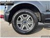 2016 Ford F-150  (Stk: P11645) in Brantford - Image 6 of 23