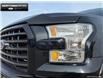 2016 Ford F-150  (Stk: P11645) in Brantford - Image 7 of 23