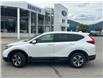 2019 Honda CR-V LX (Stk: 57B39236B) in Penticton - Image 5 of 19