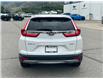 2019 Honda CR-V LX (Stk: 57B39236B) in Penticton - Image 6 of 19