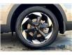 2025 Kia Sorento Hybrid EX (Stk: SSR4505) in Sherwood Park - Image 11 of 13