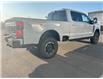 2025 Ford F-350 Platinum (Stk: 25245) in High River - Image 5 of 22