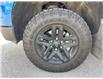 2022 Chevrolet Silverado 1500 LT Trail Boss (Stk: CS227A) in High River - Image 8 of 21