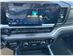 2024 Chevrolet Silverado 3500HD LTZ (Stk: 19205780A) in Pincher Creek - Image 19 of 25