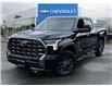 2022 Toyota Tundra Platinum (Stk: M25-0458P) in Chilliwack - Image 1 of 22