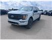 2023 Ford F-150 Tremor (Stk: U16032) in Hague - Image 4 of 8