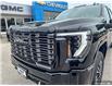 2025 GMC Sierra 2500HD Denali Ultimate (Stk: T25172) in Sundridge - Image 11 of 30