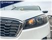 2019 Kia Sorento 2.4L EX (Stk: 2D1724) in Kitchener - Image 17 of 21