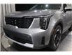 2025 Kia Sorento Plug-In Hybrid EX (Stk: 26258) in Edmonton - Image 7 of 28