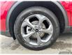 2025 Ford Escape ST-Line (Stk: 25-0415) in Prince Albert - Image 6 of 25