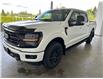 2025 Ford F-150 XLT (Stk: 25271) in Port Alberni - Image 8 of 26