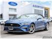 2023 Ford Mustang GT Premium (Stk: 92561A) in London - Image 1 of 26