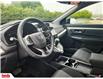 2021 Honda CR-V LX (Stk: TL3256) in Saint John - Image 15 of 27