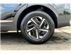 2025 Kia Sportage Hybrid EX (Stk: SSP7364) in Sherwood Park - Image 11 of 14