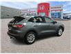 2022 Ford Escape SE Hybrid (Stk: C1543A) in Lethbridge - Image 3 of 23