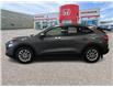2022 Ford Escape SE Hybrid (Stk: C1543A) in Lethbridge - Image 6 of 23