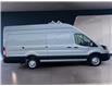 2025 Ford Transit-350 Cargo Base (Stk: 12066) in Golden - Image 4 of 17