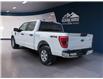 2022 Ford F-150  (Stk: 11954) in Golden - Image 7 of 17