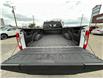 2022 Ford F-250 XL (Stk: AC7423) in Calgary - Image 10 of 21 2022 Ford F-250 XL (Stk: AC7423) in Calgary - Image 10 of 21