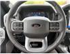 2025 Ford F-150 XLT (Stk: 5T068) in Williams Lake - Image 10 of 10