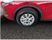 2025 Ford Escape Active (Stk: 25S043) in ROCKY MOUNTAIN HOUSE - Image 14 of 15