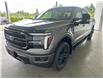 2025 Ford F-150 Lariat (Stk: 25200) in Port Alberni - Image 8 of 27