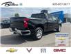2024 Chevrolet Silverado 1500 LTZ (Stk: 269303A) in Bolton - Image 6 of 18