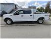 2020 Ford F-150 XLT in Ottawa - Image 4 of 36