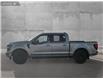 2025 Ford F-150 XLT (Stk: 25T2457) in Red Deer - Image 3 of 24