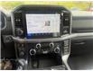 2025 Ford F-150 XLT (Stk: 5T059) in Williams Lake - Image 12 of 13