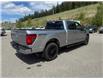 2025 Ford F-150 XLT (Stk: 5T067) in Williams Lake - Image 5 of 13