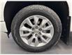 2025 Chevrolet Silverado 1500 Custom (Stk: 301004) in Lethbridge - Image 10 of 26