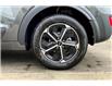 2025 Kia Niro Plug-In Hybrid  (Stk: SNR4193) in Sherwood Park - Image 11 of 14