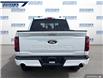 2025 Ford F-150 XLT (Stk: 27529) in Dartmouth - Image 5 of 24