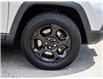 2023 Jeep Compass Trailhawk (Stk: PC0033) in Aurora - Image 10 of 27