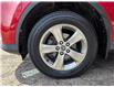 2015 Toyota RAV4 XLE (Stk: 2507358) in Waterloo - Image 9 of 21