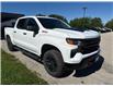2023 Chevrolet Silverado 1500 Custom Trail Boss (Stk: 0189P) in Meaford - Image 3 of 13
