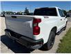 2023 Chevrolet Silverado 1500 Custom Trail Boss (Stk: 0189P) in Meaford - Image 5 of 13