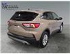 2020 Ford Escape SE (Stk: S9546A) in ROSETOWN - Image 3 of 17