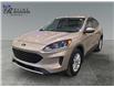 2020 Ford Escape SE (Stk: S9546A) in ROSETOWN - Image 7 of 17